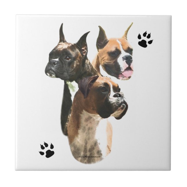 Boxer Trio Tile (Front)