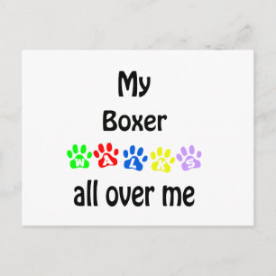 Boxer Walks Design Postcard