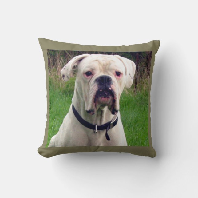 Boxer white cushion (Front)