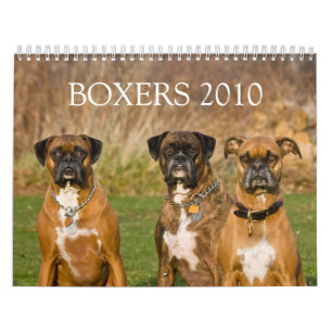 BOXERS 2010 CALENDAR