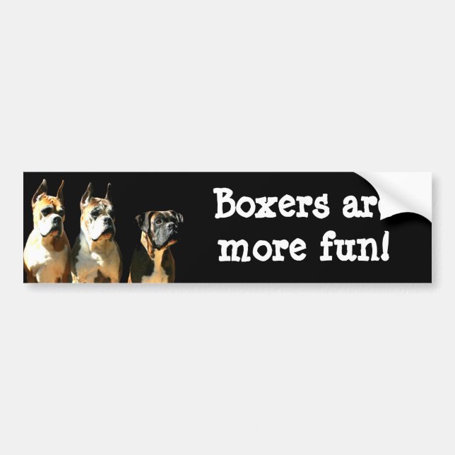 Boxers are more fun bumper sticker (Front)