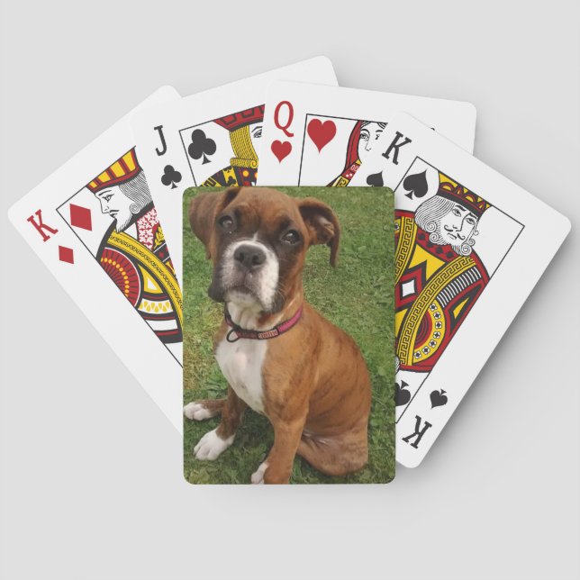 BOXERS ARE SPECIAL  PLAYING CARDS (Back)