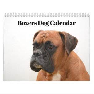Boxers Dogs 2026 Calendar