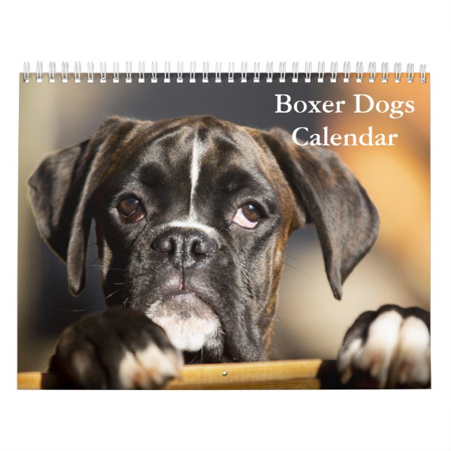Boxers Dogs 2026 Calendar (Cover)