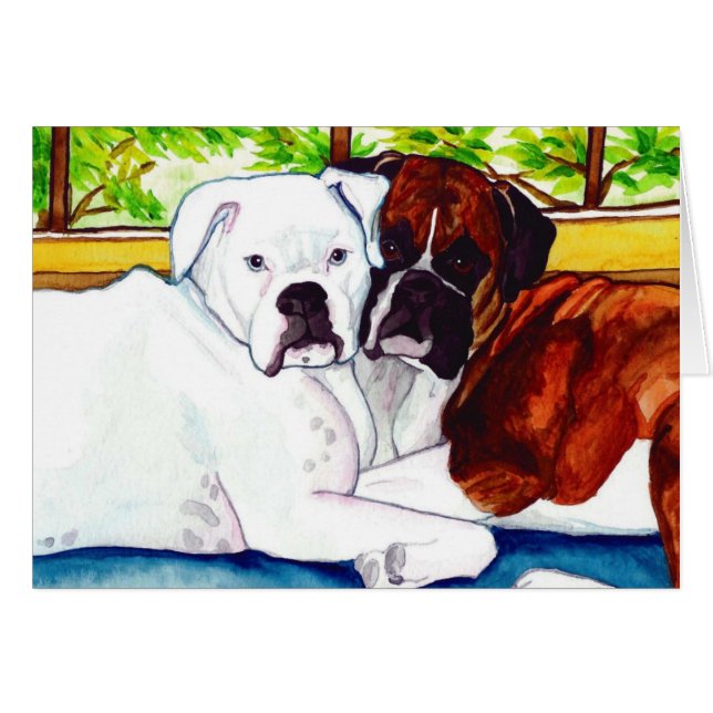 Boxers Fawn and White (Front Horizontal)