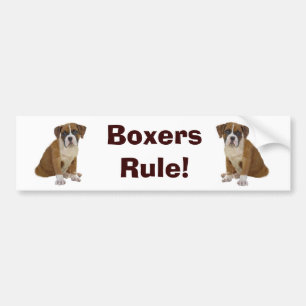 Boxers Rule Bumper Sticker
