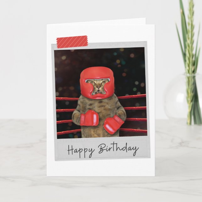 Boxing Cat Funny Birthday Card (Front)