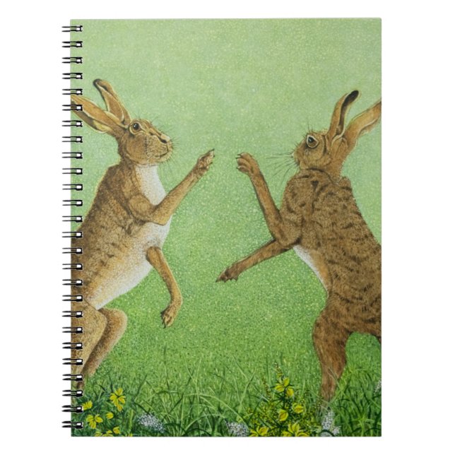 Boxing clever notebook (Front)