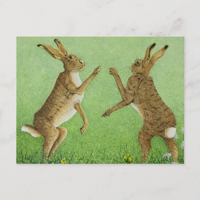 Boxing clever postcard (Front)