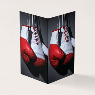 Boxing gloves