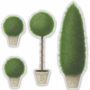 Boxwood Topiary Plants Monogram Custom Alphabet