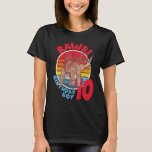 Boy 10th Birthday I Rawr Stegosaurus I Family Mat T-Shirt