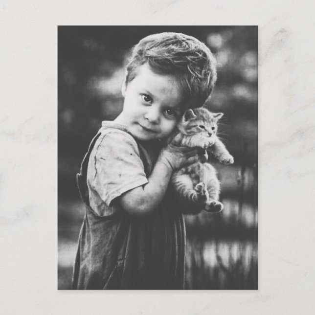 Boy and kitten postcard (Front)