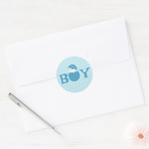 Boy Baby Gender Reveal Party Classic Round Sticker