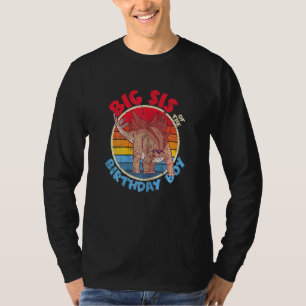 Boy Birthday I Big Sis I Stegosaurus I Family Matc T-Shirt