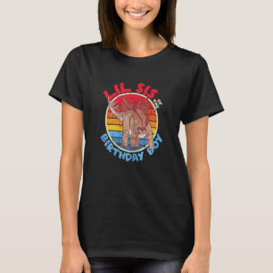 Boy Birthday I Lil Sis I Stegosaurus I Family Matc T-Shirt