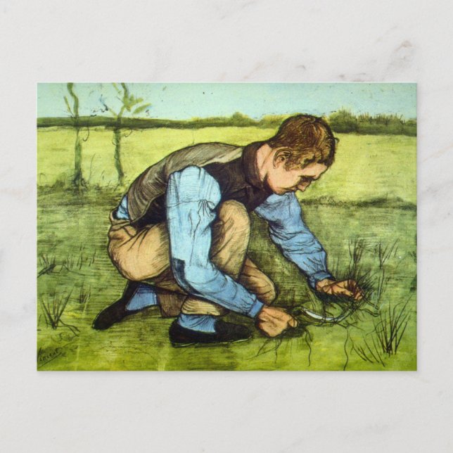 Boy Cutting Grass with Sickle by Vincent van Gogh Postcard (Front)