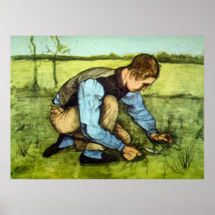 Boy Cutting Grass with Sickle by Vincent van Gogh Poster