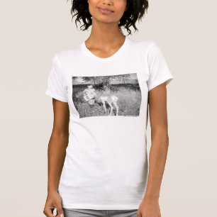Boy feeding antelope by hand T-Shirt