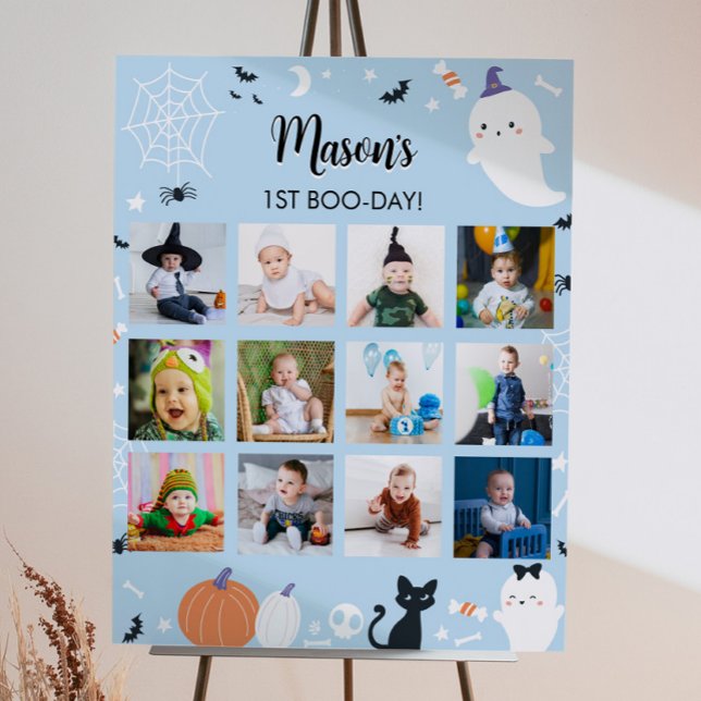 Boy Ghost First Year Photo Milestone Sign (Creator Uploaded)