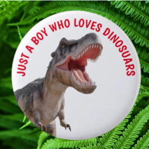 Boy Loves Dinosaurs  6 Cm Round Badge
