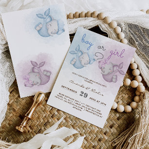 Boy or Girl elephant pink blue gender reveal  Invitation