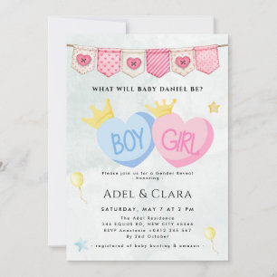 Boy or Girl Gender Reveal Invitation