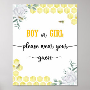 Boy or Girl please wear your guess Poster