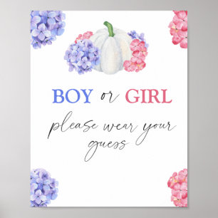 Boy or Girl please wear your guess Poster