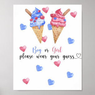 Boy or Girl please wear your guess Poster