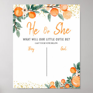 Boy or Girl Voting Board Gender Reveal Orange Poster