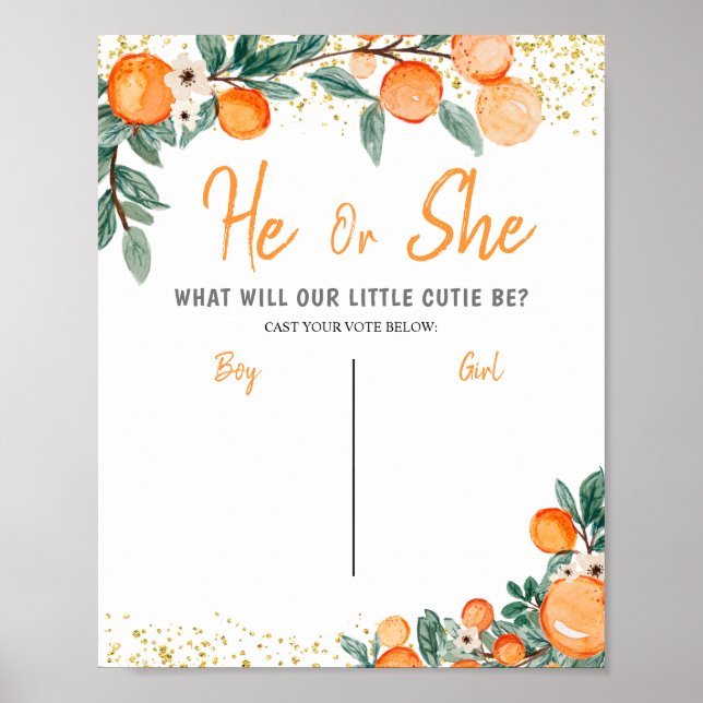 Boy or Girl Voting Board Gender Reveal Orange Poster (Front)