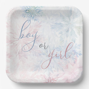 Boy or Girl Winter Pink Blue Snowflake Paper Plate