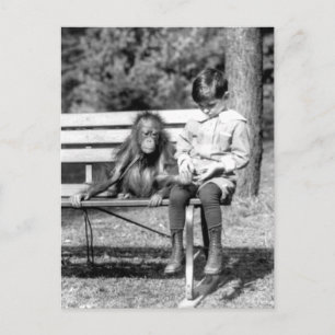 Boy & Orangutan Vintage National Zoo Washington Postcard