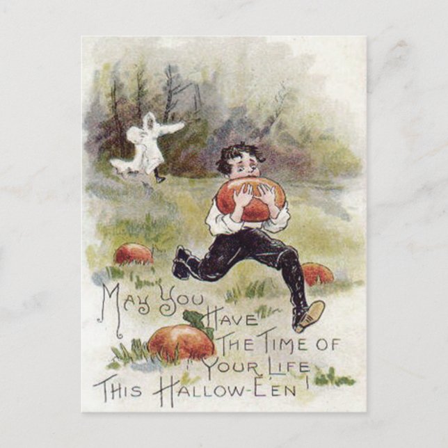 Boy Pumpkin Patch Ghost Costume Postcard (Front)