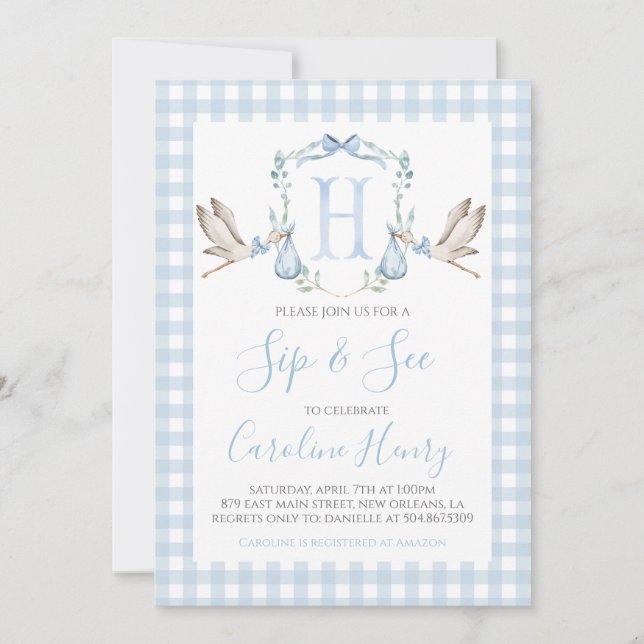 Boy Stork Baby Sip and See Preppy Gingham Blue Invitation (Front)
