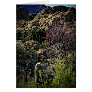 Boyce Thompson Arboretum