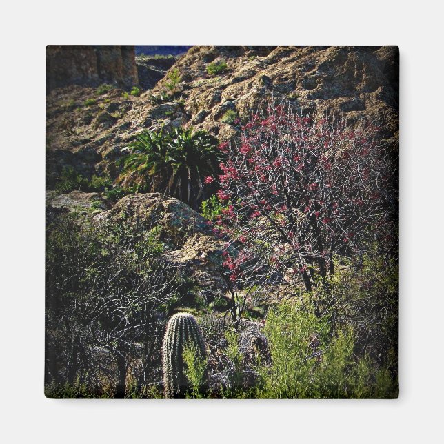 Boyce Thompson Arboretum Magnet (Front)