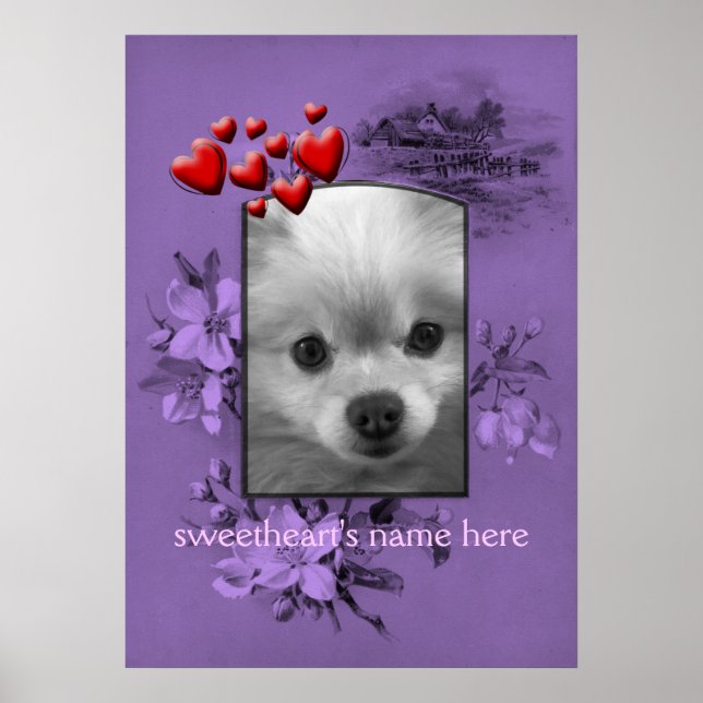 Boyfriend Photo Frame, Pomeranian Puppy Poster (Front)