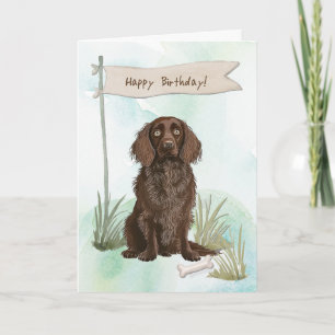 Boykin Spaniel Breed Dog Under Birthday Sign Card
