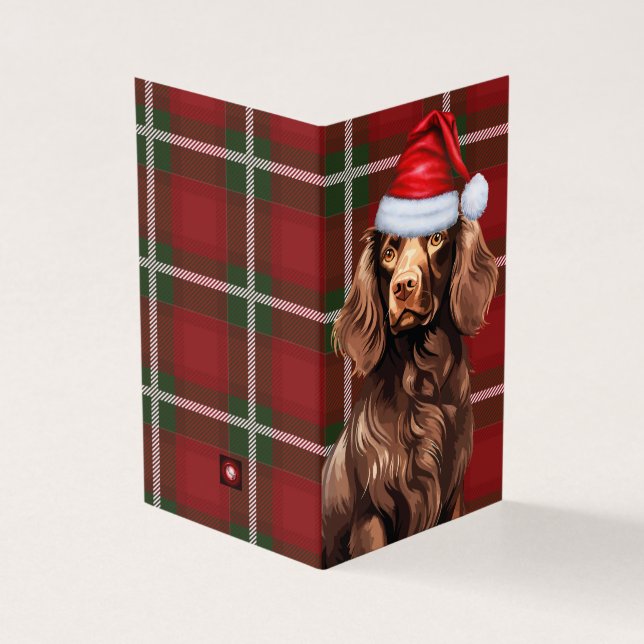 Boykin Spaniel Christmas Dog with Holiday Plaid (Outside)