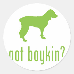 Boykin Spaniel Classic Round Sticker