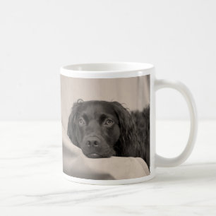Boykin Spaniel Coffee Mug