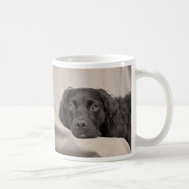 Boykin Spaniel Coffee Mug (Right)