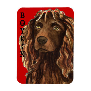 Boykin Spaniel Colour Block Magnet