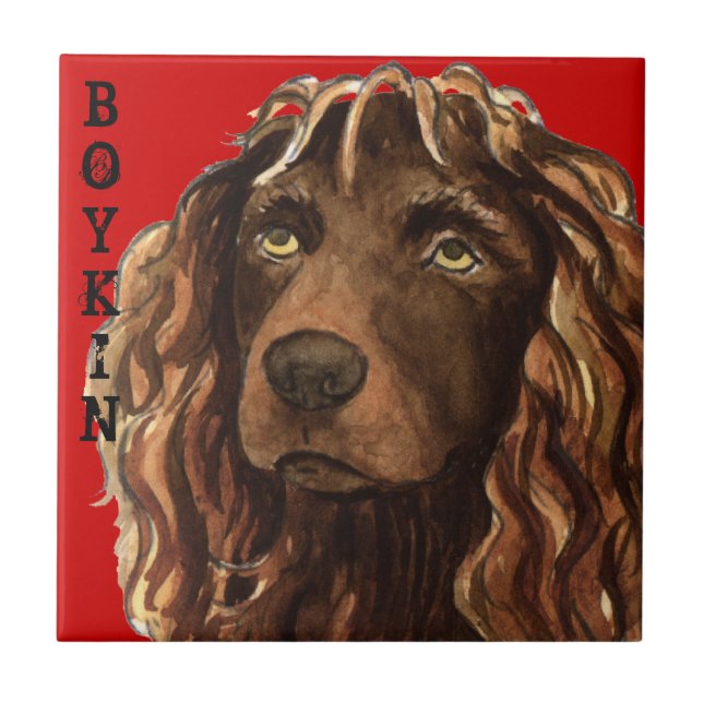 Boykin Spaniel Colour Block Tile (Front)