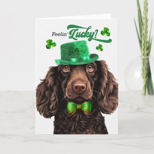 Boykin Spaniel Dog Lucky St Patrick's Day Holiday Card