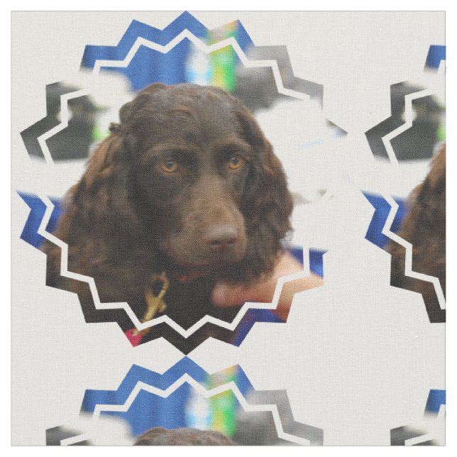 Boykin Spaniel Fabric (Close Up)