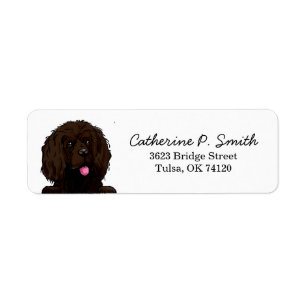 Boykin Spaniel Return Address Return Address Label