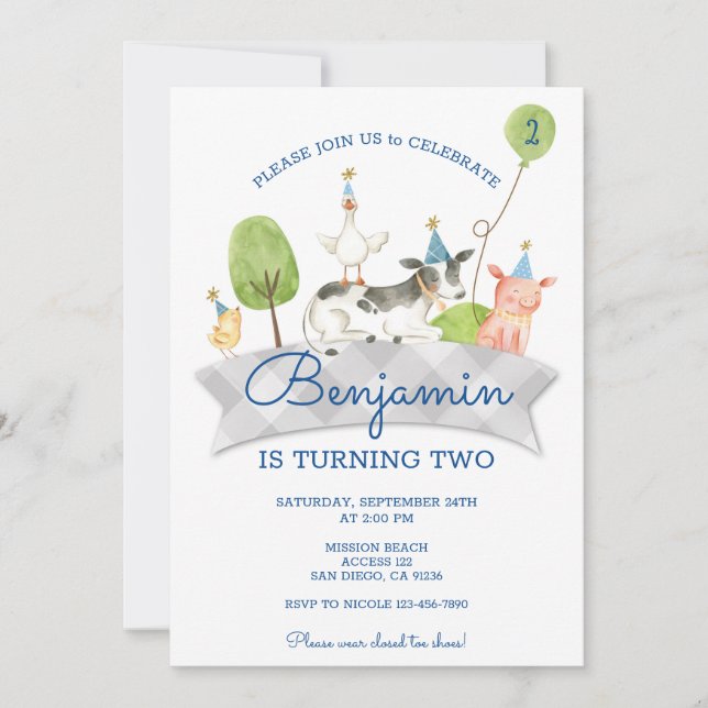 Boys Barnyard First Birthday Invite (Front)